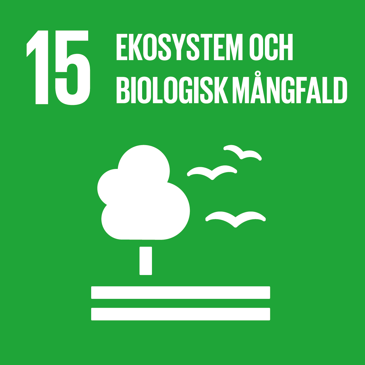 Globala målen 15 - Ekosystem och biologisk mångfald